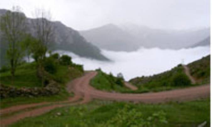 جانان هریجان