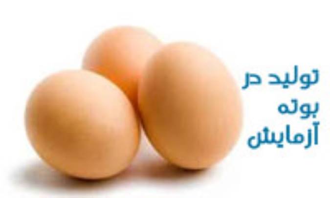 تولید در بوته آزمایش