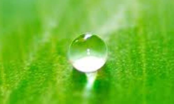 وجود مطلق و وجود مقيد