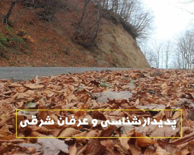 پدیدارشناسی و عرفان شرقی(قسمت اول)