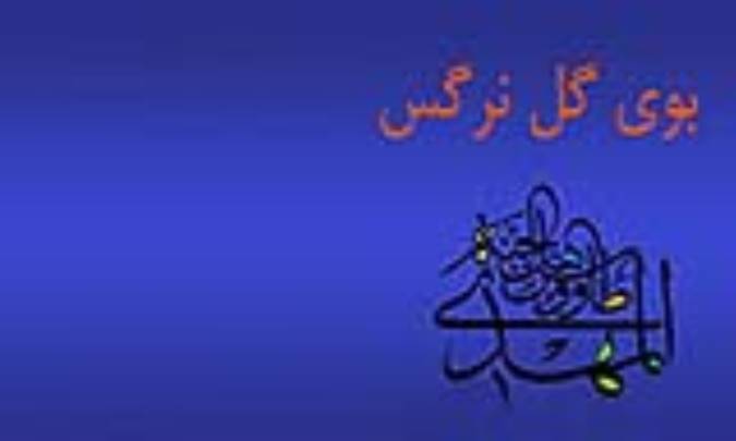 بوی گل نرگس