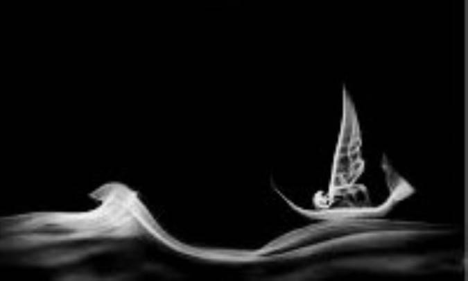 درباره ی طغیان