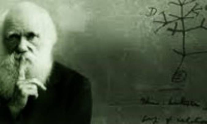 چه کسی انقلابی خواهد شد؟