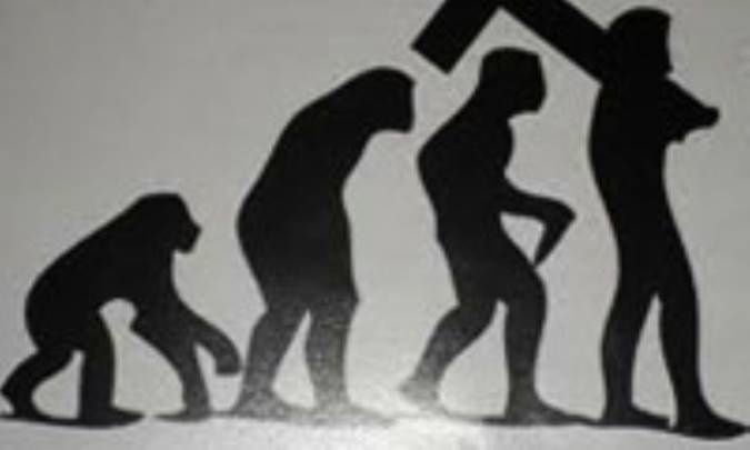 آیا جد انسان میمون بود؟