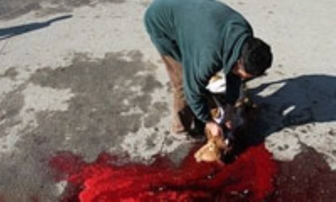 نجاسات و لزوم پرهیز از آنها (1)