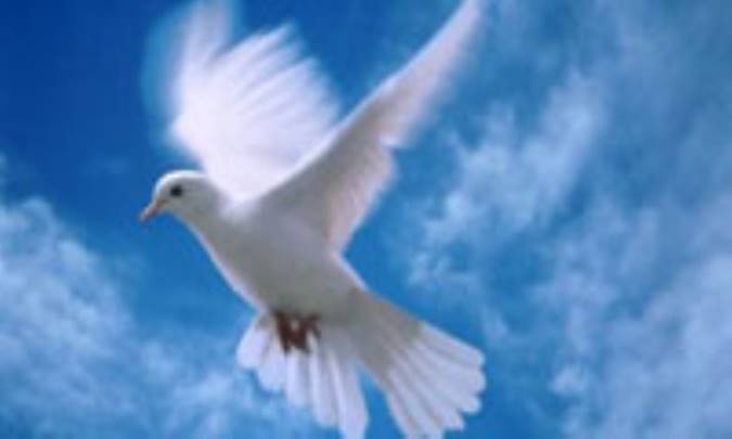 آزادی سیاسی در اسلام و غرب