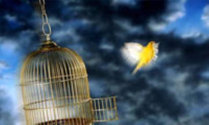 آزادی و کمال طلبی دینی