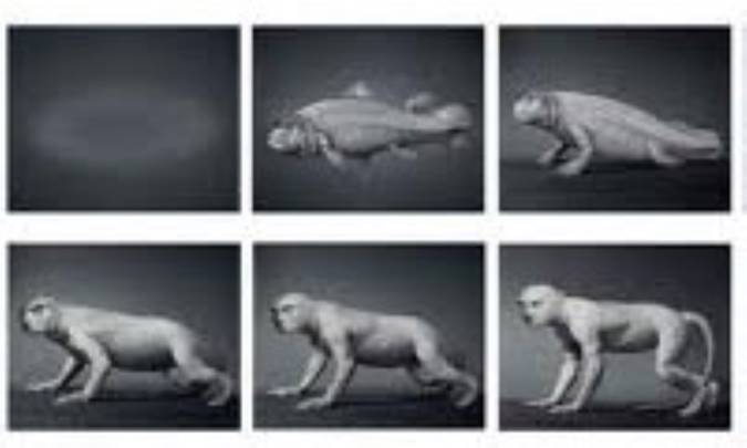 پیشینه ی داروینیسم