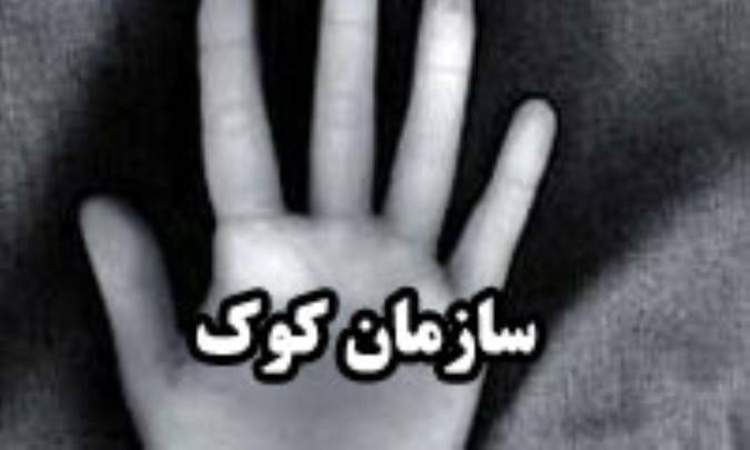 سازمان کوک