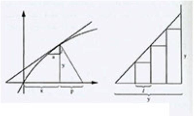 ریاضیدان همه فن حریف