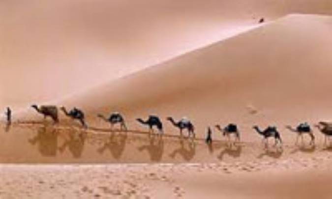نویسنده ای شیفته راهِ ابریشم