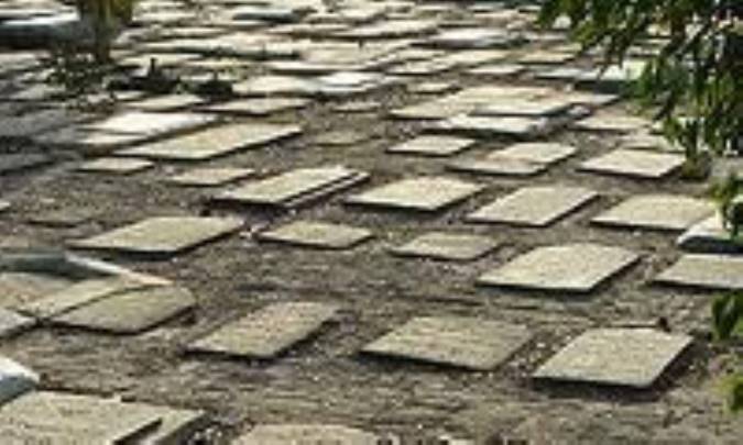 از بی وفایی دور زمانه