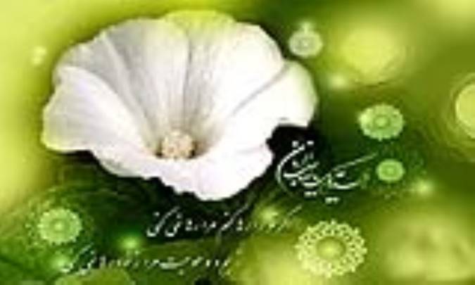 تشرف نماينده ي تهراني ها در کربلا و ضيافتي بي نظير