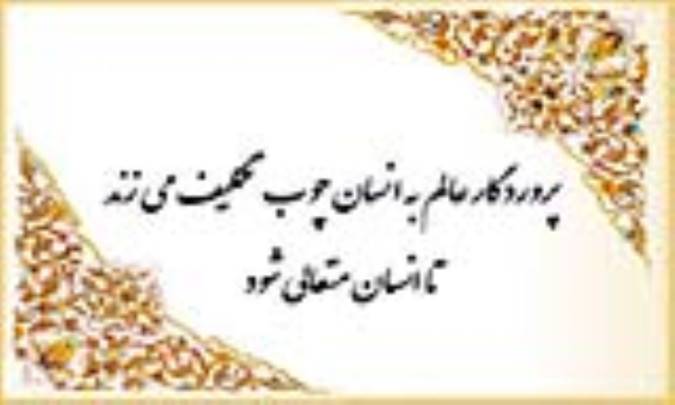 تلازم حق و تکلیف