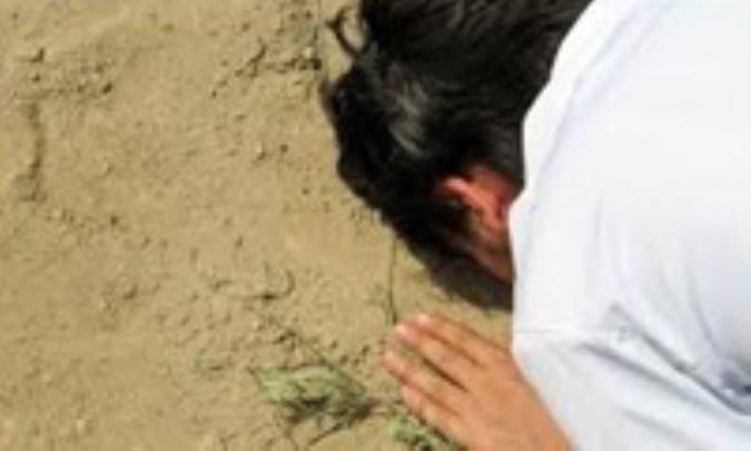 سجده بر خاک