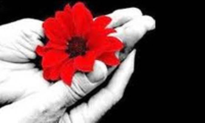 احترام گذاردن، عامل ایجاد دوستی