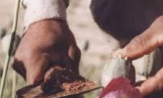 بلای خانمان سوز