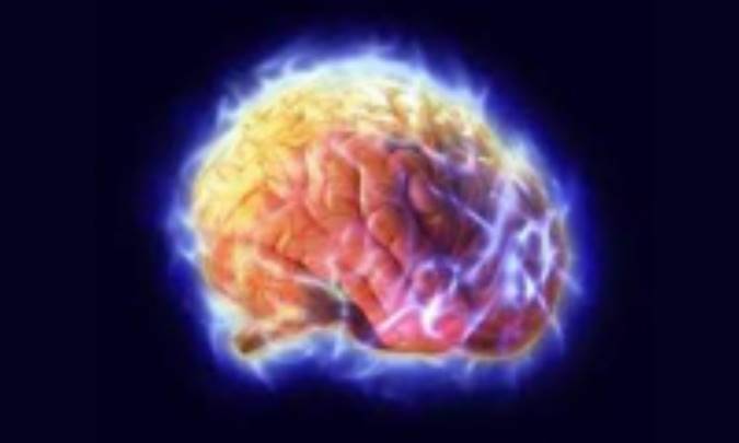 سیاست و عقل