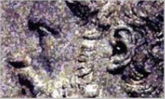 اندیشه ی سیاسی سوفیست ها