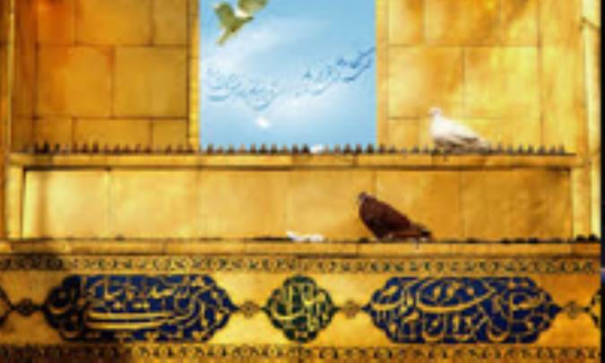 اديان ديگر با رويكردي رضوي (1)