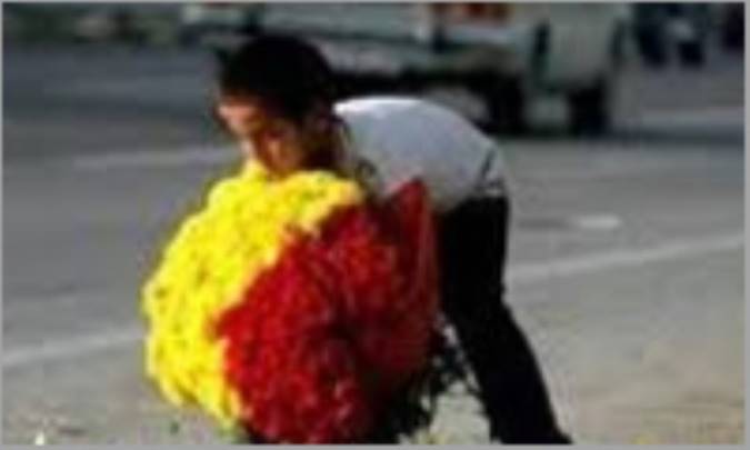 مهمترین آسیب های اجتماعی کشور