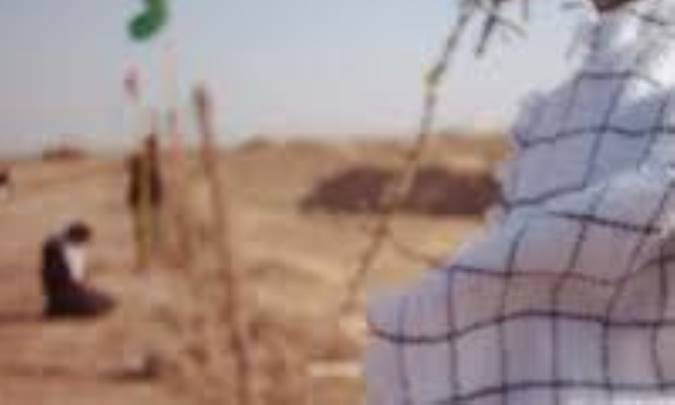 مسئول خط