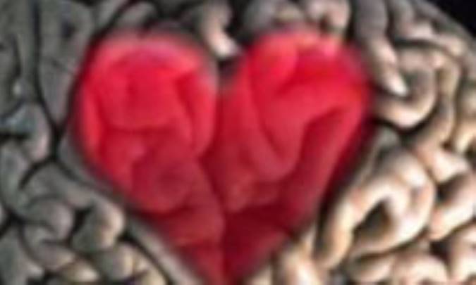 یک اسکن عاشقانه