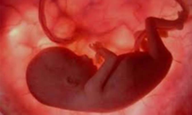 وقتی رحم می‌افتد!