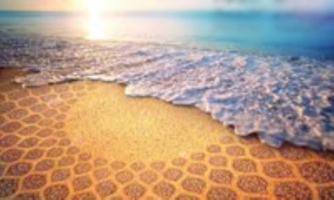 بر ساحل زندگی