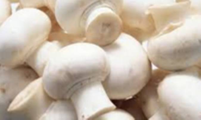 سوخته‌اید؟ قارچ بخورید!