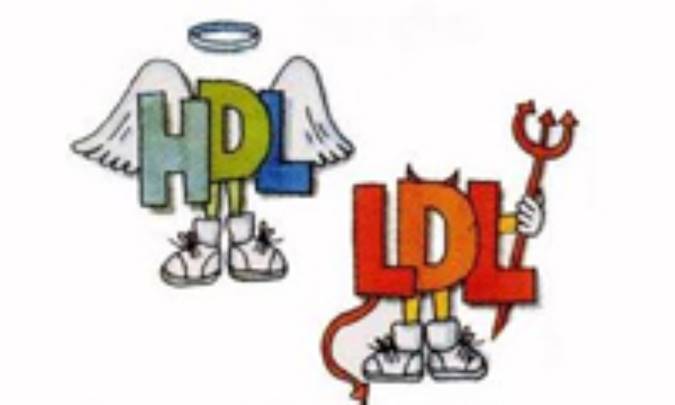 کلسترول، خوب است یا بد؟