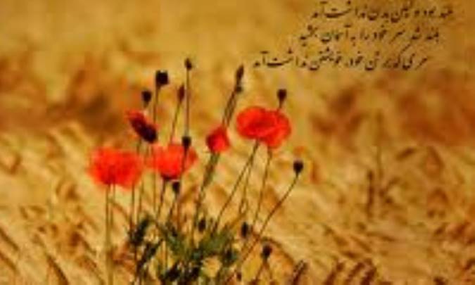 غذای لذیذ از برگ درختان!