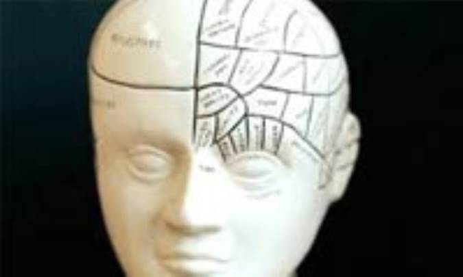 شناخت حافظه و چگونگی عملکرد و انواع آن