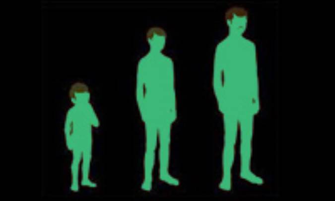 روشهای مطالعه رشد و تکامل