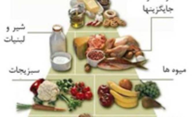 تغذیه ورزشی