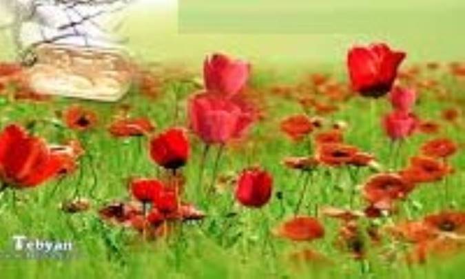 گل های باغ معرفت (3)