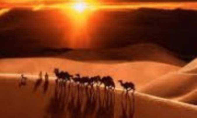 صحرا و صحرانشین