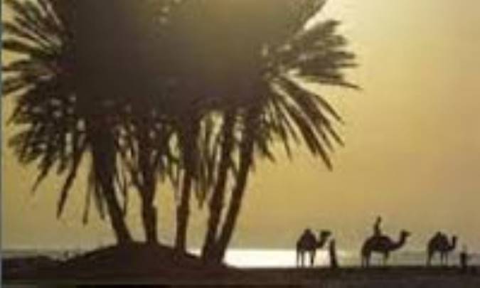 جغرافياي عربستان