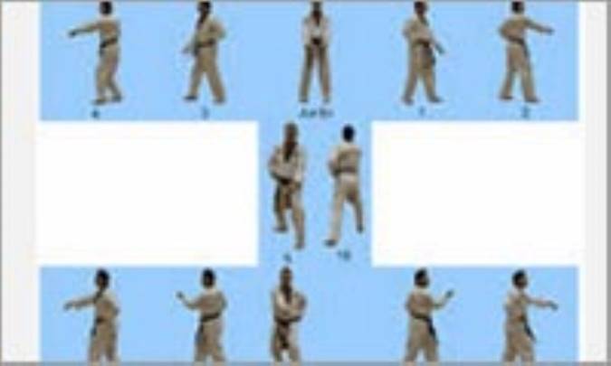 آموزش فرم های رشته تکواندو