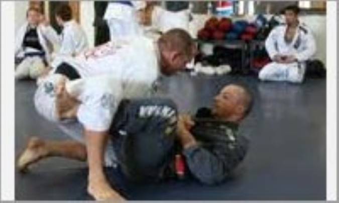 رشته جوجیتسوی برزیلی