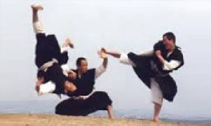 تاریخچه رشته جندو