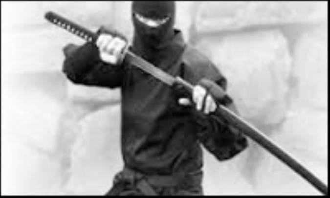 تاریخچه نینجوتسو