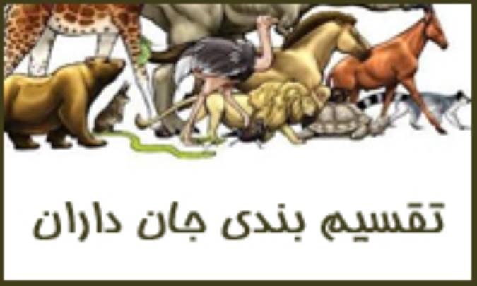 تقسیم‌بندی جان‌داران