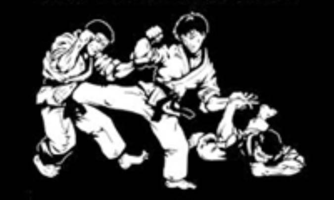 رشته هاپکیدو