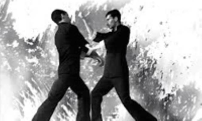 رشته هونگ گار کونگ فو
