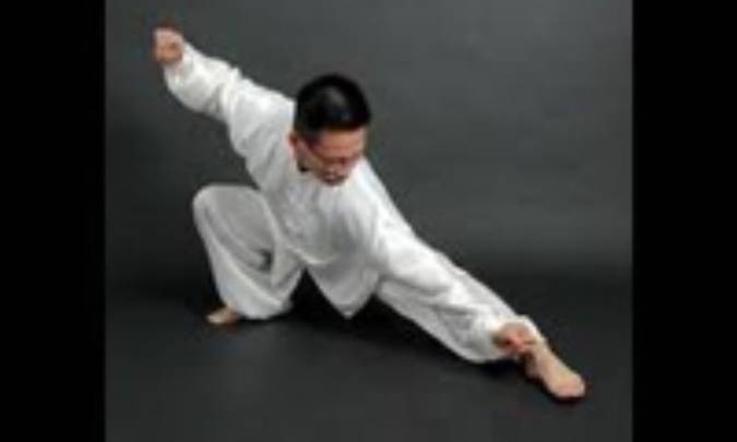 سبک‌های تای چی چوان