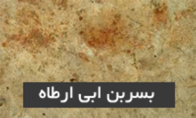 بُسر بن ابى ارطاه
