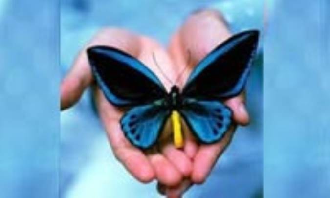 تبيين معقوليّت گزاره هاي ديني