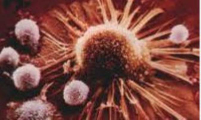 ژن‌های سرکوبگر سرطان