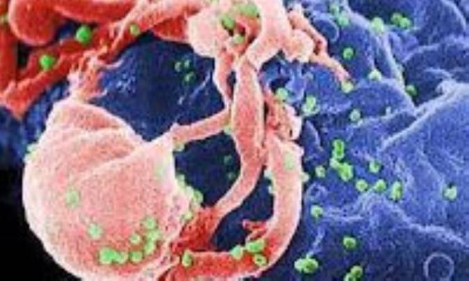 دگرگونی مداوم ویروس‌ها